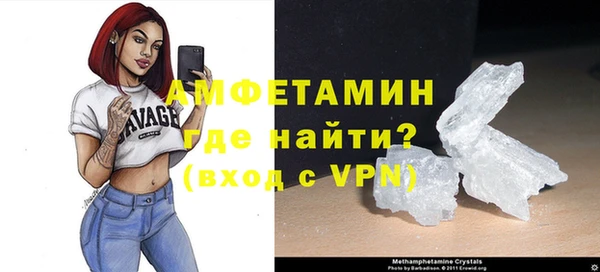 шишки Кодинск