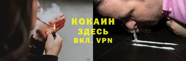 бошки Бронницы